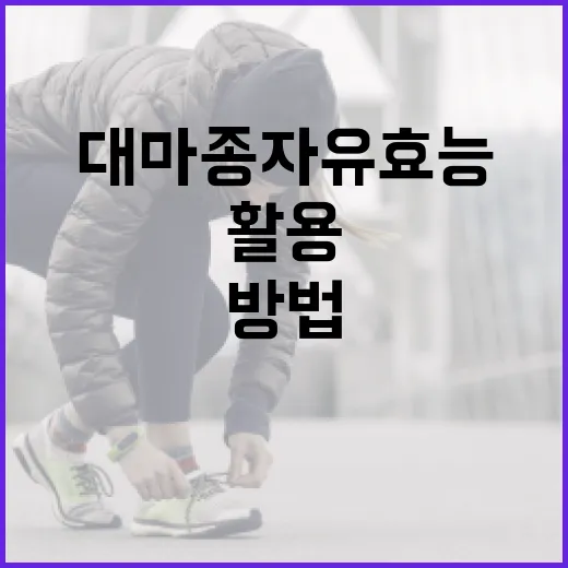 대마종자유 효능을 최대한 활용하는 방법 - 요약