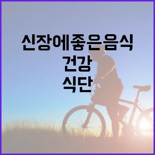 신장 건강을 위한 식단: 신장에 좋은 음식을 선택하는 방법 - 요약