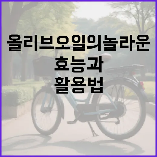 올리브오일의 놀라운 효능과 활용법 - 요약