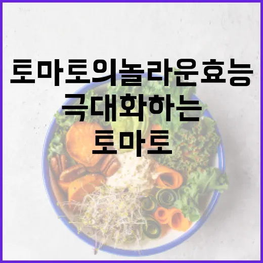 토마토의 놀라운 효능을 극대화하는 방법 - 요약