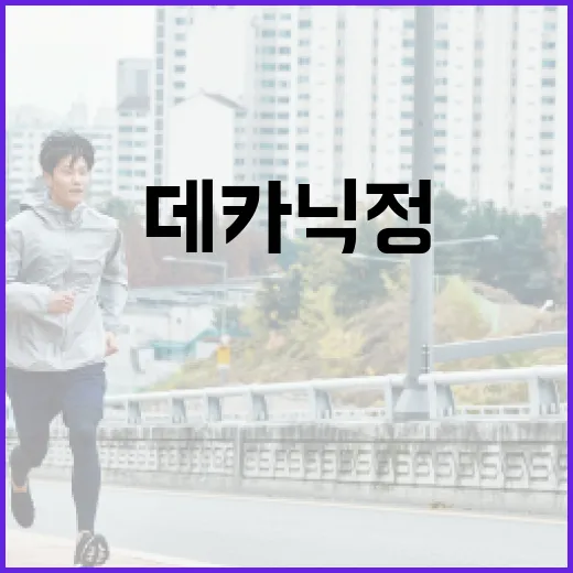 데카닉정을 안전하게 사용하는 방법 - 요약