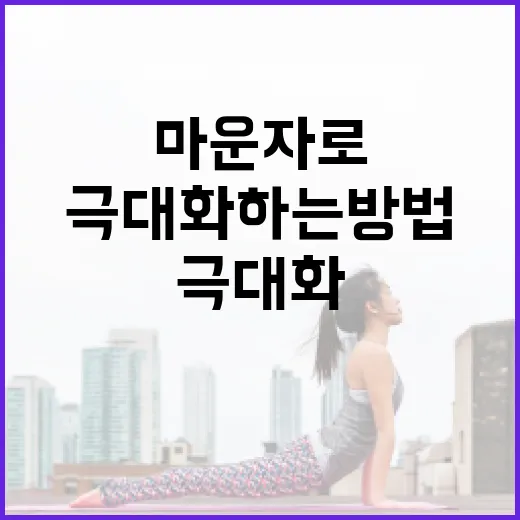 마운자로의 건강 혜택을 극대화하는 방법 - 요약
