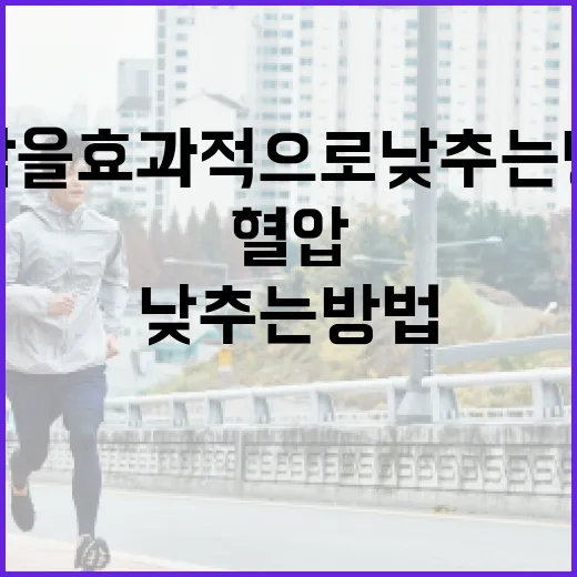 혈압을 효과적으로 낮추는 방법 - 요약