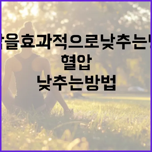 혈압을 효과적으로 낮추는 방법 - 요약