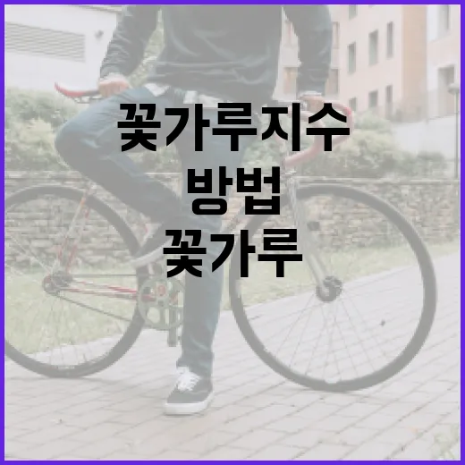 꽃가루지수를 이해하고 건강하게 지내는 방법 - 요약
