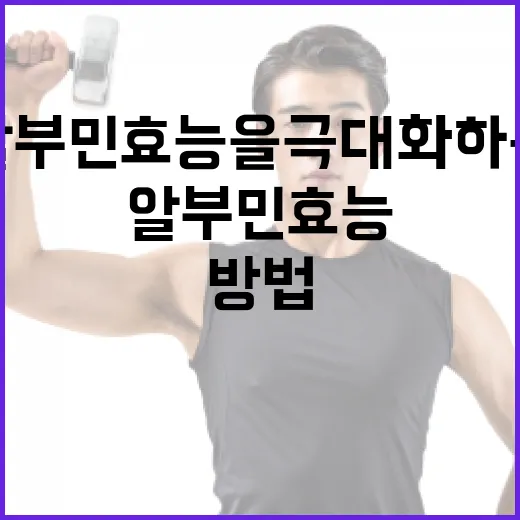 알부민 효능을 극대화하는 방법 - 요약