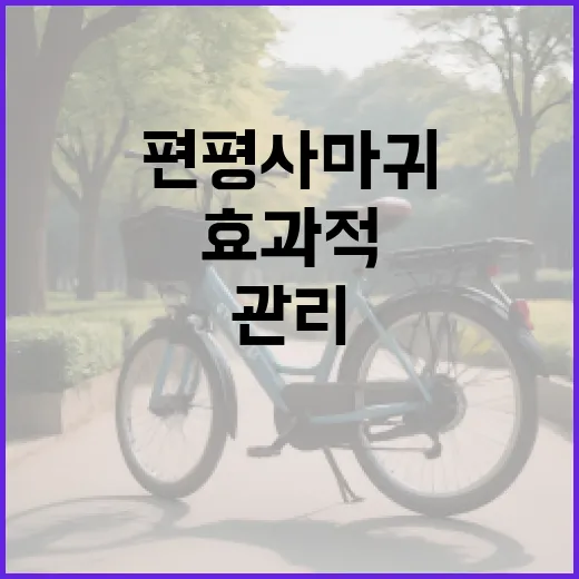 편평사마귀를 효과적으로 관리하는 방법 - 요약