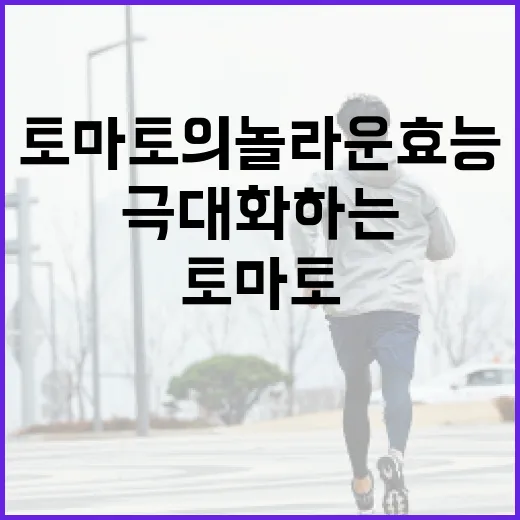 토마토의 놀라운 효능을 극대화하는 방법 - 요약