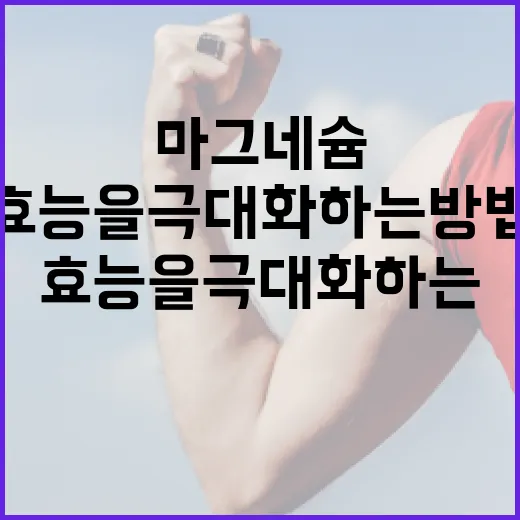 마그네슘 효능을 극대화하는 방법 - 요약