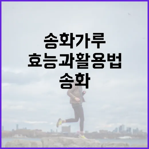 송화가루의 건강 효능과 활용법 알아보기 - 요약
