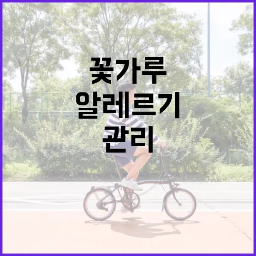 꽃가루지수 관리하는 방법: 알레르기 시즌을 건강하게 보내려면 이렇게 - 요약