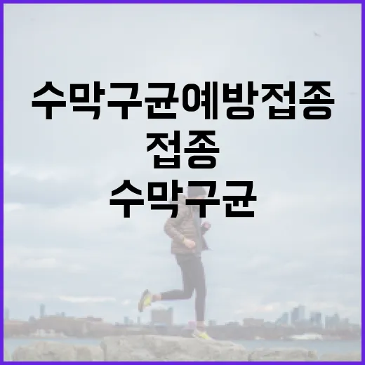 수막구균 예방접종을 통한 건강 보호 방법 - 요약