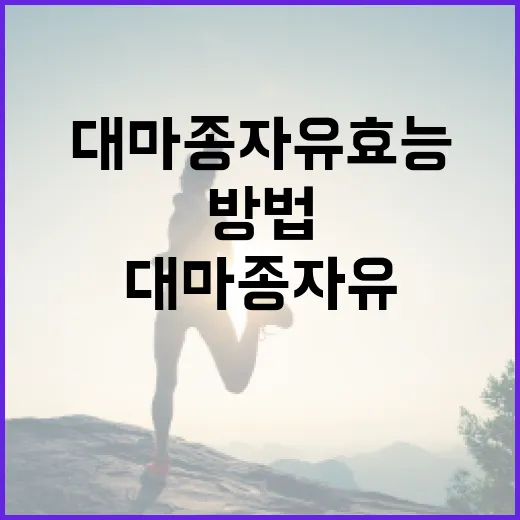 대마종자유 효능을 극대화하는 방법 - 요약