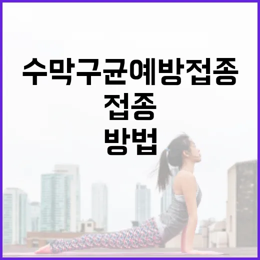 수막구균 예방접종으로 건강을 지키는 방법 - 요약