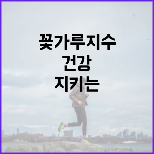 꽃가루지수를 이해하고 건강을 지키는 방법 - 요약