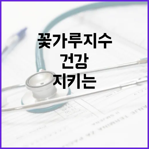 꽃가루지수를 이해하고 건강을 지키는 방법 - 요약