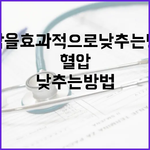 혈압을 효과적으로 낮추는 방법 - 요약