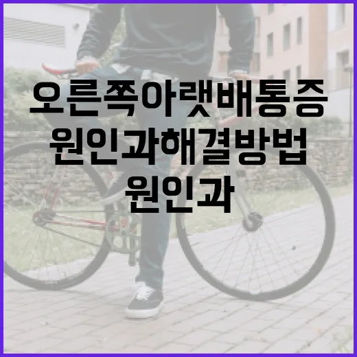 오른쪽 아랫배 통증의 원인과 해결 방법 - 요약