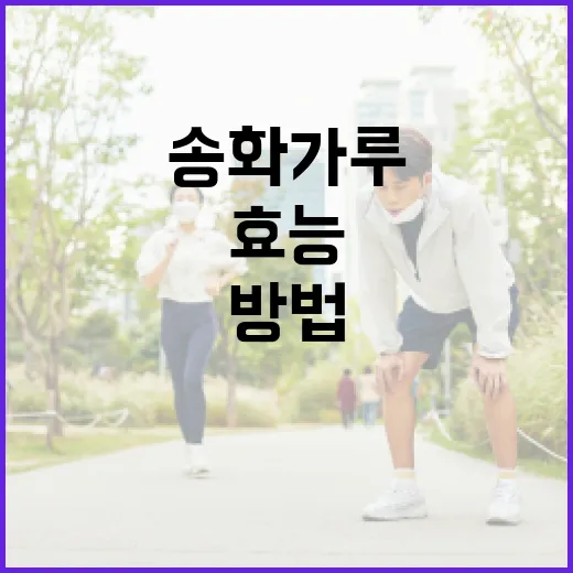 송화가루의 건강 효능을 최대한 활용하는 방법 - 요약