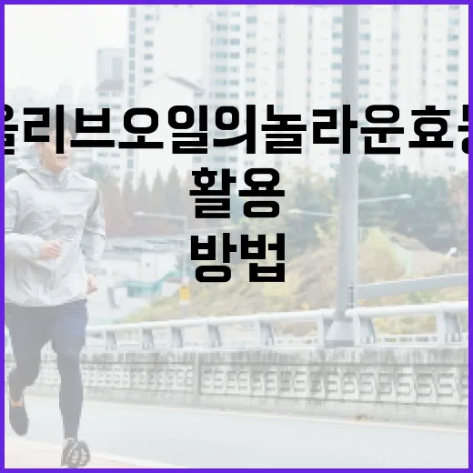올리브오일의 놀라운 효능을 최대한 활용하는 방법 - 요약