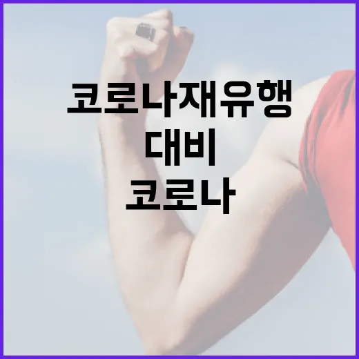 코로나 재유행을 대비하는 방법 - 요약