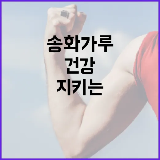 송화가루로 건강을 지키는 방법 - 요약