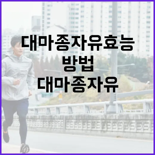 대마종자유 효능을 최대화하는 방법 - 요약