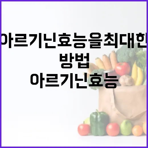 아르기닌 효능을 최대한 활용하는 방법 - 요약
