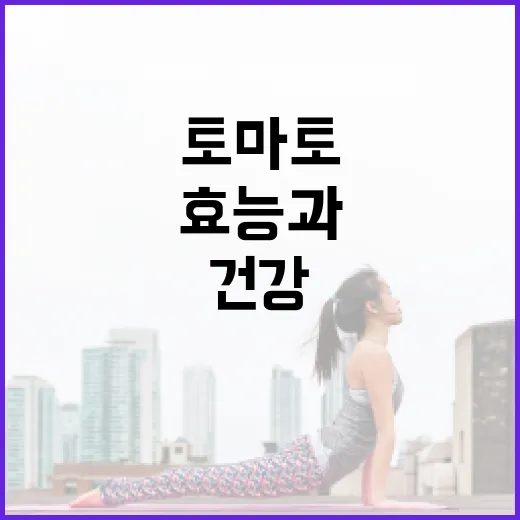 토마토의 건강 효능과 섭취 방법: 건강을 위한 가이드 - 요약