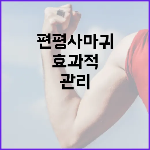 편평사마귀를 효과적으로 관리하는 방법 - 요약