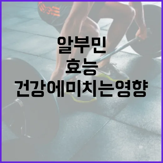 알부민의 효능과 건강에 미치는 영향 파악하기 - 요약