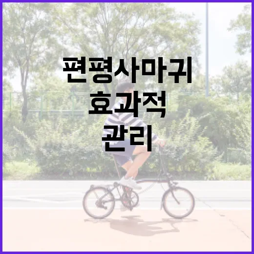 편평사마귀를 효과적으로 관리하는 방법 - 요약