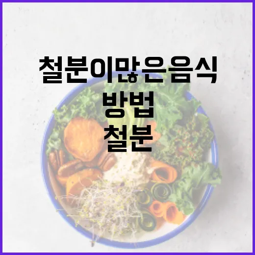 철분이 많은 음식을 선택하는 방법 - 요약