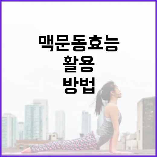 맥문동 효능을 최대한 활용하는 방법 - 요약