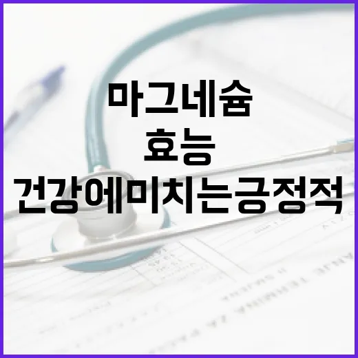 마그네슘의 효능과 건강에 미치는 긍정적인 영향 알아보기 - 요약