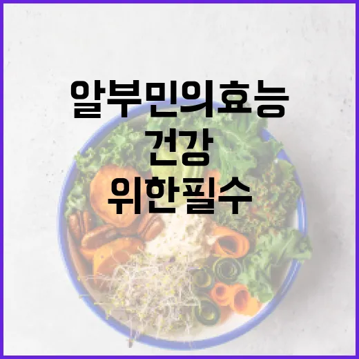 알부민의 효능 이해하기: 건강을 위한 필수 가이드 - 요약