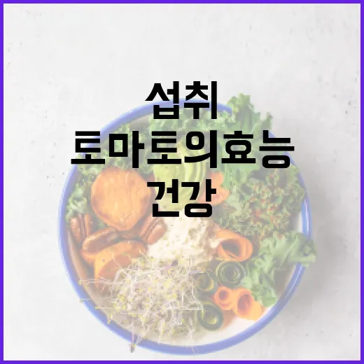 건강을 위한 토마토의 효능과 섭취 방법 - 요약