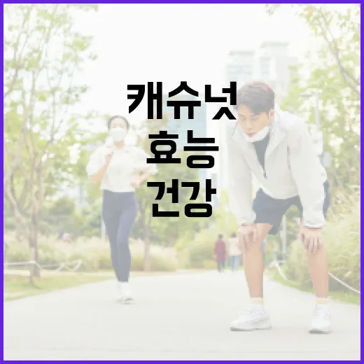 캐슈넛의 놀라운 건강 효능을 알아보는 방법 - 요약