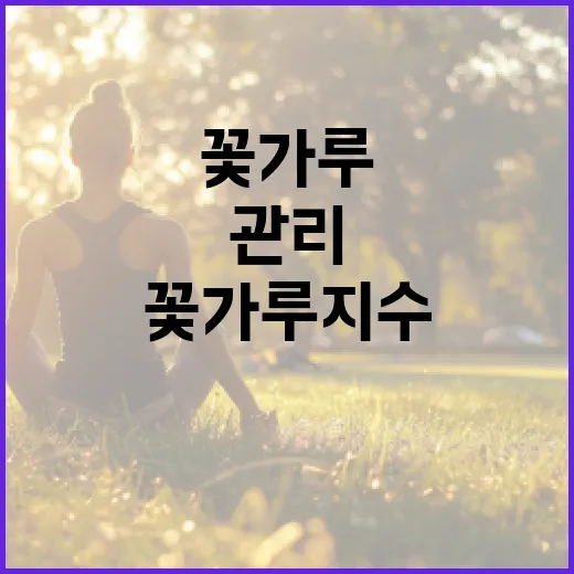 꽃가루지수를 이해하고 관리하는 방법 - 요약
