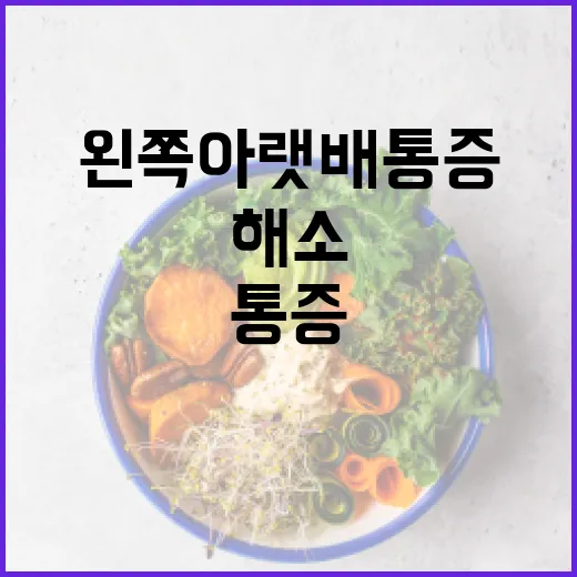 왼쪽 아랫배 통증을 해소하는 방법 - 요약