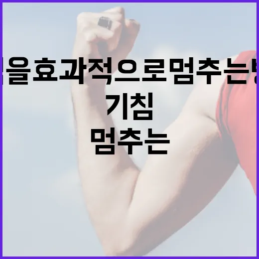 기침을 효과적으로 멈추는 방법 - 요약
