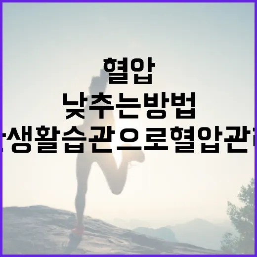 혈압을 효과적으로 낮추는 방법: 건강한 생활습관으로 혈압 관리하기 - 요약