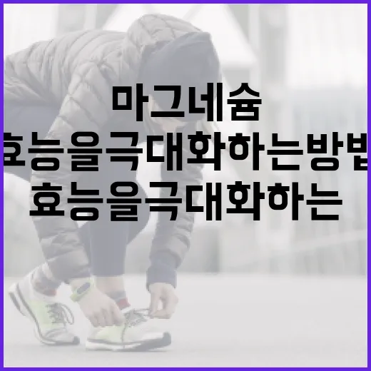 마그네슘 효능을 극대화하는 방법 - 요약