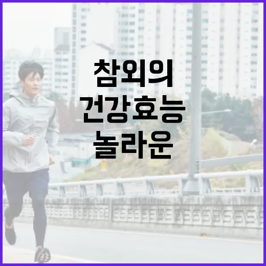 참외의 놀라운 건강 효능을 극대화하는 방법 - 요약