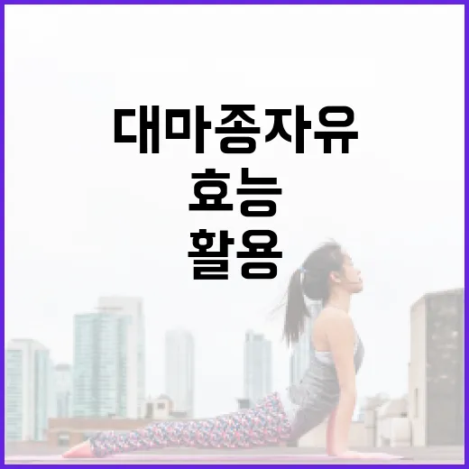 대마종자유의 효능과 이를 활용하는 방법 - 요약
