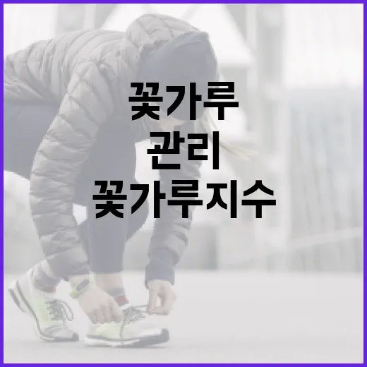 꽃가루지수를 이해하고 관리하는 방법 - 요약