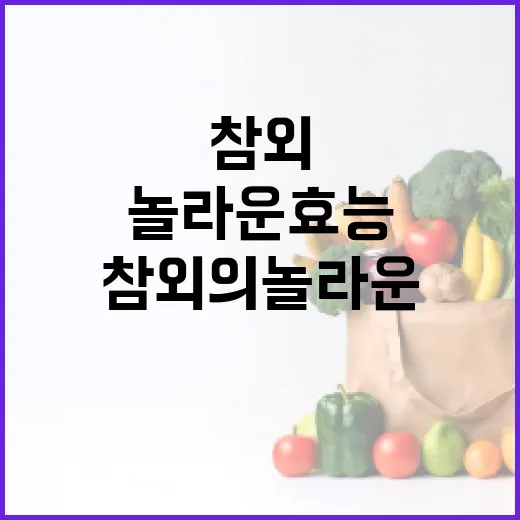참외의 놀라운 효능을 알아보는 방법 - 요약
