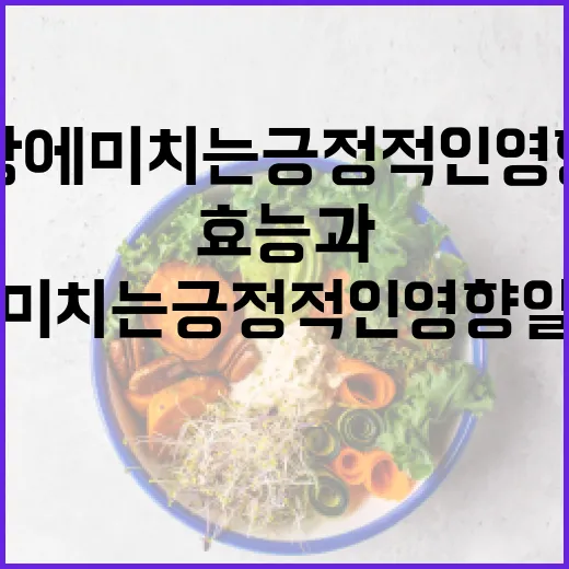 캐슈넛의 효능과 건강에 미치는 긍정적인 영향 알아보기 - 요약