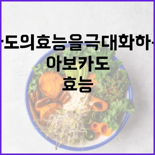 아보카도의 효능을 극대화하는 방법 - 요약