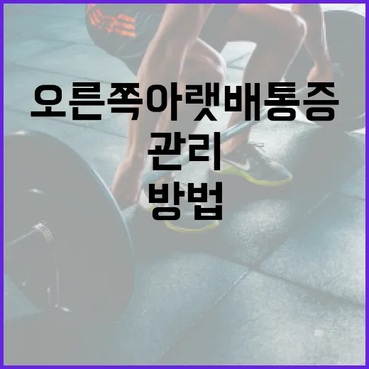 오른쪽 아랫배 통증을 이해하고 관리하는 방법 - 요약